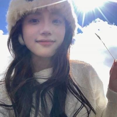 鹬